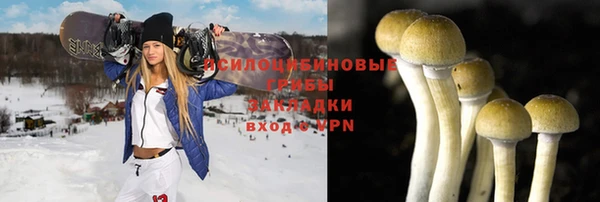 тгк Каменногорск