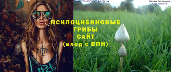 тгк Каменногорск