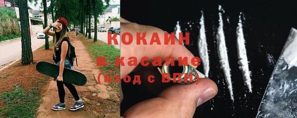 тгк Каменногорск